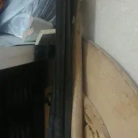 رگال