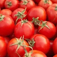 میوه ترهبار فروشی