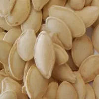 بی واسطه ازکشاورزبدون پوچ وتلخی پرمغز|خوردنی و آشامیدنی|مشهد, رضاشهر|دیوار
