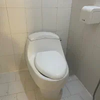 توالت فرنگی کرد