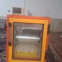 دستگاه جوجه کشی فوری