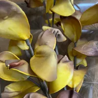 گلدان و سه شاخه گل