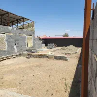 باغ-بادامداری-یه-تیردونشون-500مت-صحرابالا-تیمیارت