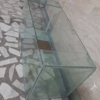 سرگرمی وفراغت،حیوانات،ماهی وآکواریوم