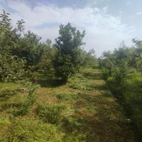 زمین کیلومتر ۵ رشت به سنگر|فروش زمین و ملک کلنگی|رشت, علی آباد|دیوار