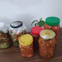 سالاد فصل و ترشی خانگی|خوردنی و آشامیدنی|پاکدشت, شهرک امام رضا|دیوار