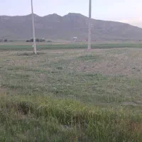 فروش زمین|فروش زمین و ملک کلنگی|آبگرم, |دیوار