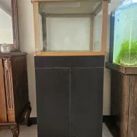 اکواریوم ریملس apa