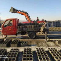 نیازمند اکیپ تیرچه ریز و بلوک زن|استخدام معماری، عمران و ساختمانی|مرودشت, دولت آباد|دیوار