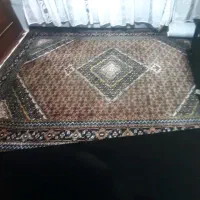 فرش طبیعی|فرش|اردبیل, |دیوار