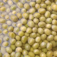 زیتون کنسروی امساله طارم(اعلاء)|خوردنی و آشامیدنی|طارم, |دیوار