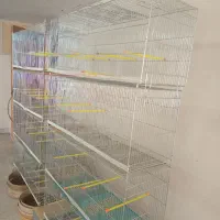 قفس|لوازم جانبی حیوانات|برخوار, |دیوار