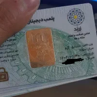 شمش طلا زربد