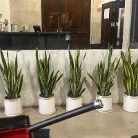 نظافتچی خانم|استخدام سرایداری و نظافت|تهران, نازیآباد|دیوار