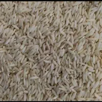 برنج کلات بدون کود بدون سم ارگانیک