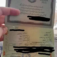 شناسنامه ماهلین راشدی گم شده