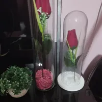 سه عدد گل و گلدان بسیار زیبا و شیک