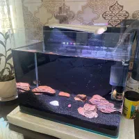 یک آکواریوم مدرن شیشه خم ۳۵*۳۰