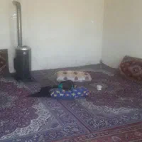 فروش فوری دامداری ۵۰۰ راسی|فروش دفتر صنعتی، کشاورزی، تجاری|خوی, |دیوار