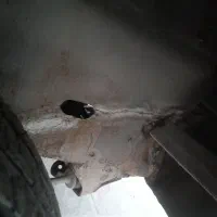 پیکان وانت مدل ۱۳۸۵|خودرو سواری و وانت|جهرم, |دیوار