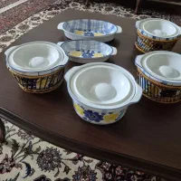 سوپ خوری گل پنبه و مرغ خوری