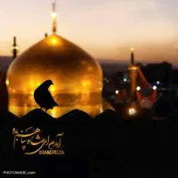 پیش فروش تورریلی اسفندماه