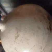 وسایل پژو آردی