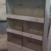 قفس اروپایی قناری