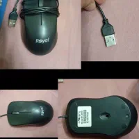 موس رویال نو