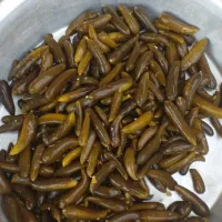 خیارشورویژه باقیمت مناسب560