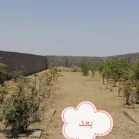 خدمات باغبانی وعلف زنی|خدمات باغبانی و درختکاری|دزفول, |دیوار