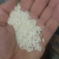 برنج هندی ۱۱۲۱