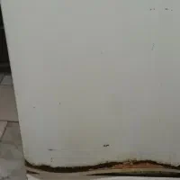 یخچال|یخچال و فریزر|شیراز, جوادیه|دیوار