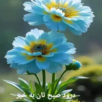 آموزش ریاضی|خدمات آموزشی|تهران, خلیج فارس|دیوار