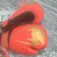 لوازم بوکس|تجهیزات ورزشی|شوشتر, |دیوار