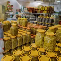 زیتون باهسته بی هسته سبز سیاه پرورده تکنفره بطری