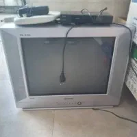 تلویزیون