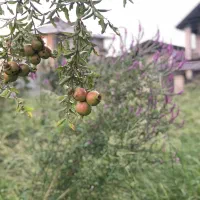 راهنمایی لطفا