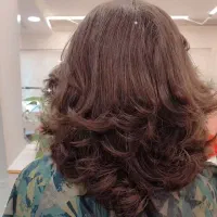کوتاهی مو  تخصصی  و ژورنالی رنگ ولایت