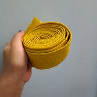 دستکش وکمربند کاراته|کیف، کفش، کمربند|بروجرد, |دیوار