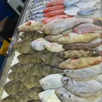 خریدار موجودات دریایی