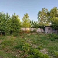 زمین مسکونی ۶۲۰ متری سند تک برگ و پروانه ساخت|فروش زمین و ملک کلنگی|رشت, گلسار|دیوار