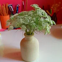 وسایل دکوری|مجسمه، تندیس، ماکت|بوکان, |دیوار