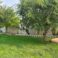 فروش مغازه بین زند و نادری