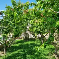 فروش باغ ویلا لاکچری ۸۳۰متر|فروش خانه و ویلا|اصفهان, بهارستان|دیوار