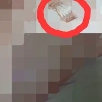 انگشتر طلا گمشده محدوده عطار وبیمارستان ۲۲بهمن