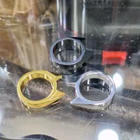 انشگتر شاخ دار