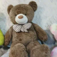 خرس|اسباب‌‌بازی|اردبیل, |دیوار