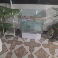 اکواریوم