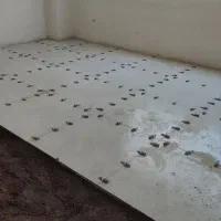 بازسازی تعمیرات کاشیکاری سرامیک کار کاشیکارکابینتی